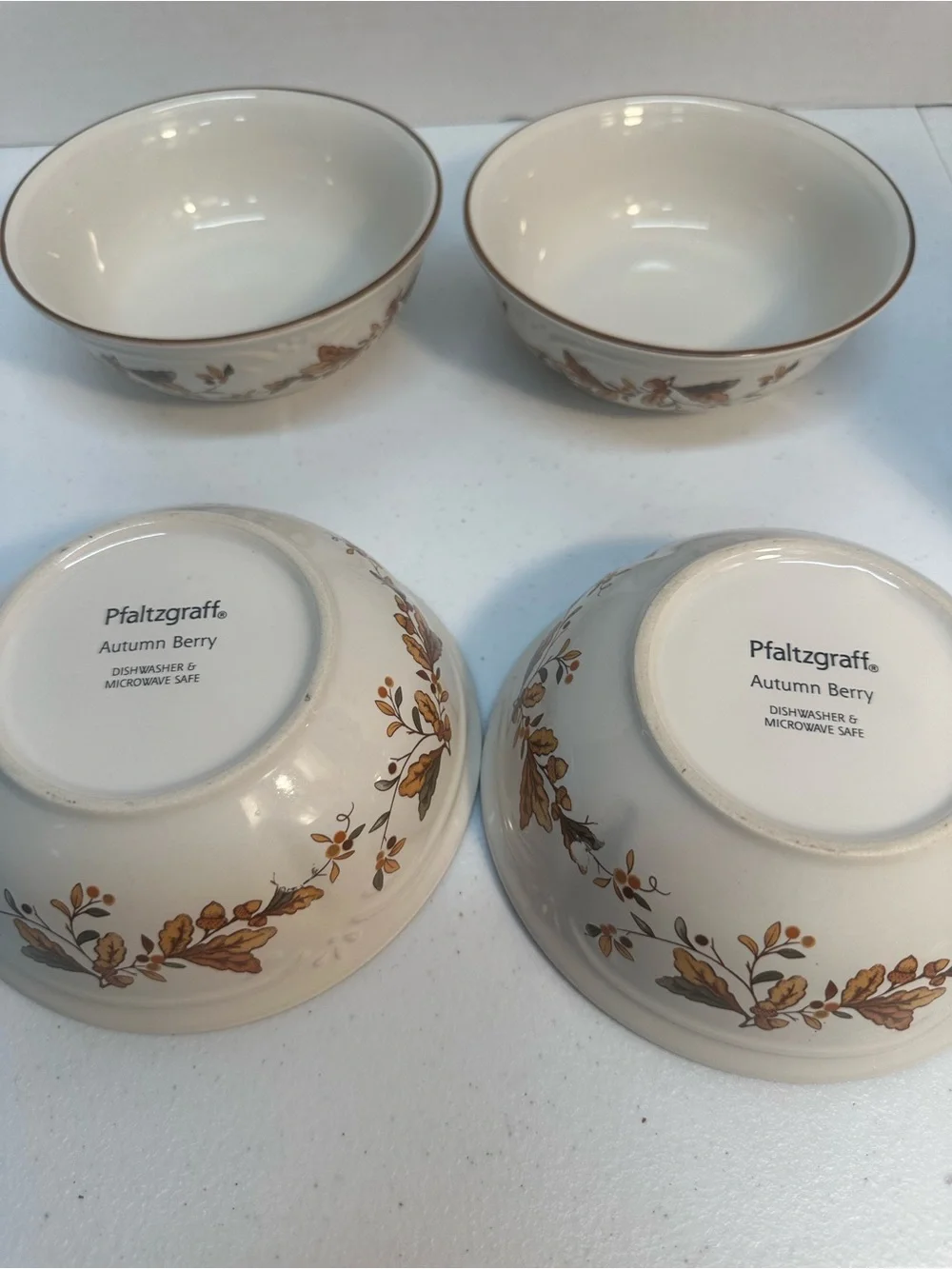 Pfaltzgraff Autumn Berry Set of 4 Soup Cereal Bowls Stoneware Fall Thanksgiving